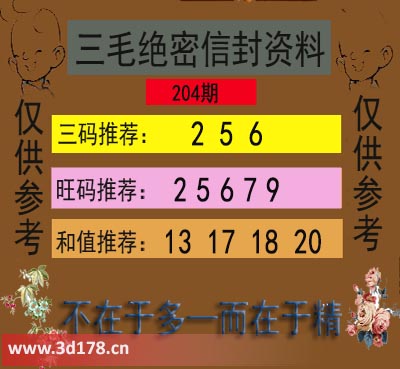 3d第2025204三毛绝密信封资料图三码推荐：256