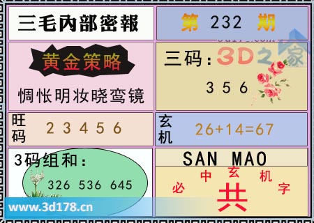 3d第2025232期三毛绝密信封资料图必中玄机字：共