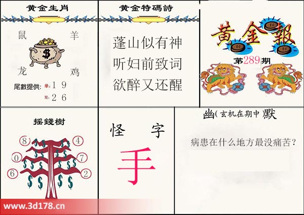 3d第2025289黄金报怪字:手