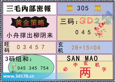 3d第2025305期三毛内部密报图必中玄机字：两