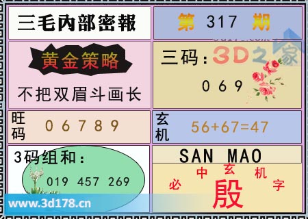 3d第2025317期三毛内部密报图三码推荐:069