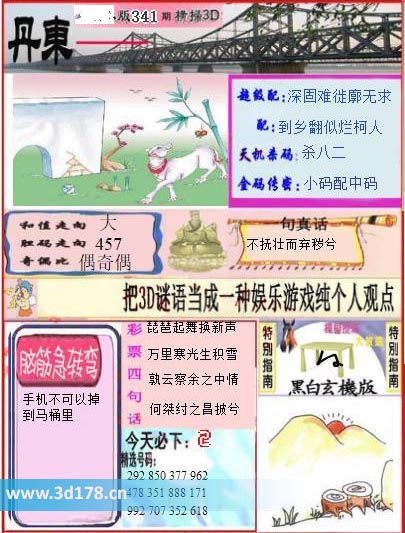3d第2025341期丹东快报图金码传密：小码配中码