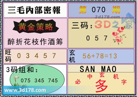 3d第2026070期三毛内部密报图必中玄机字：多