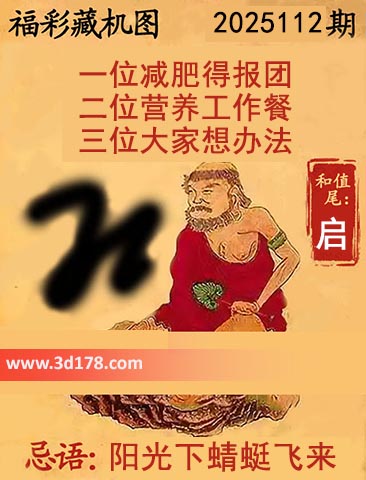 3d第2025112期正版藏机图推荐：二位营养工作餐
