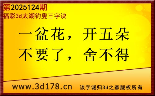 3d第2025124期太湖图库解字谜：一盆花，开五朵