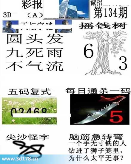 香港彩报3d第2025134期每日通杀一码：5