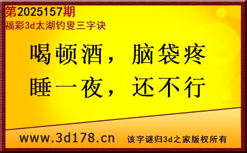 3d第2025157期太湖图库解字谜：喝顿酒，脑袋疼