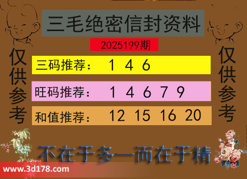 3d第2025199三毛绝密信封资料图三码推荐：146