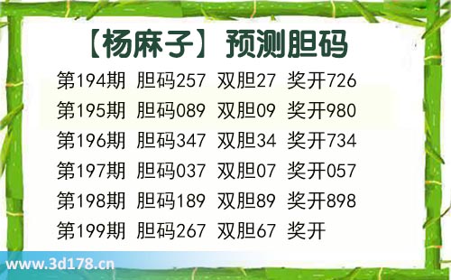 杨麻子胆码图3d第2025199期推荐：双胆看67