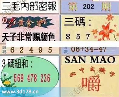 3d第2025202期三毛绝密信封资料图旺码推荐：24569