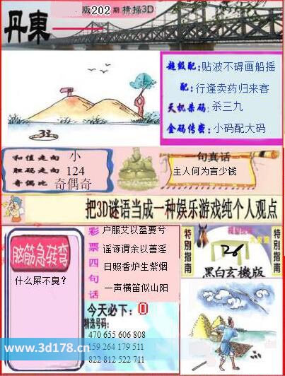 3d第2025202期丹东快报图金码传密：小码配大码
