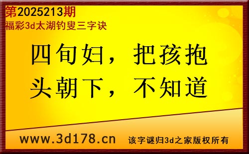 3d第2025213期太湖图库解字谜：四旬妇，把孩抱