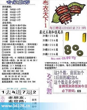3d布衣天下第2025215期百位杀一码：1