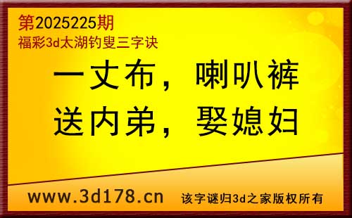 3d第2025225期太湖图库解字谜：送内弟，娶媳妇