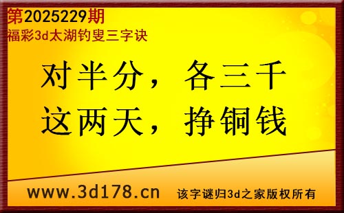 3d第2025229期太湖图库解字谜：对半分，各三千