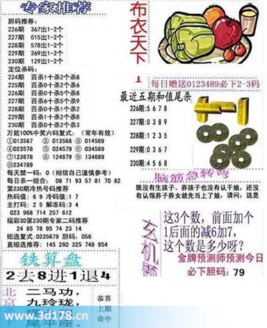 3d布衣天下第2025230期胆码：129