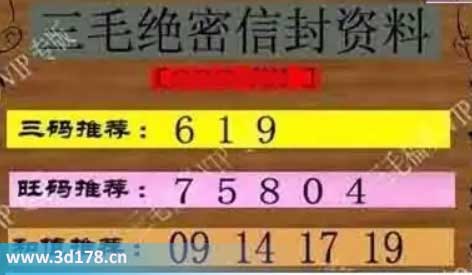 3d第2025234毛绝密信封资料图三码推荐：619