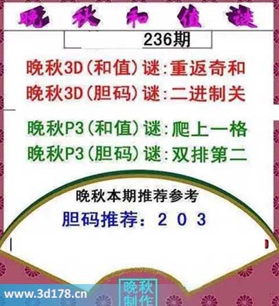 3d红五晚秋图第2025236期胆码谜：二进制关