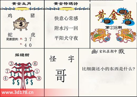 3d第2025238黄金报怪字:哥