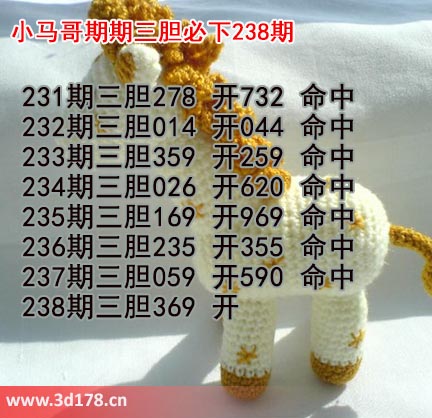 小马哥3d第2025238期预测分析推荐：三胆369