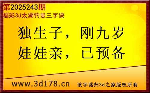 3d第2025243期太湖图库解字谜：独生子，刚九岁