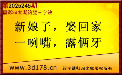 3d第2025245期太湖图库解字谜：新娘子，娶回家
