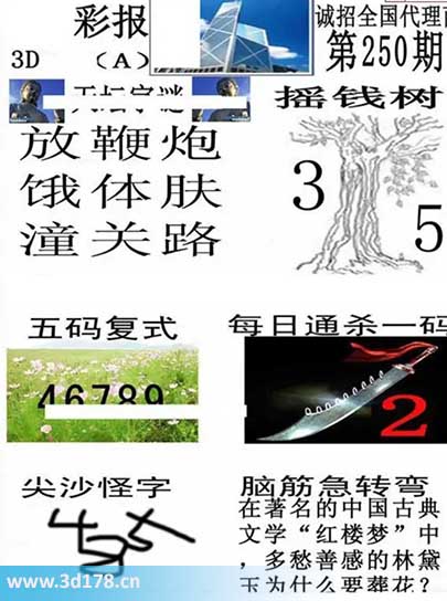 香港彩报3d第2025250期每日通杀一码：2