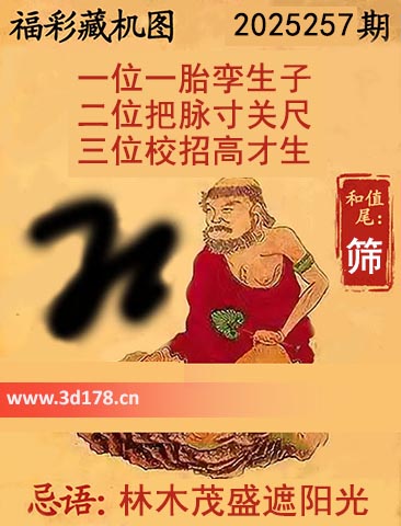 3d第2025257期正版藏机图推荐：二位把脉寸关尺
