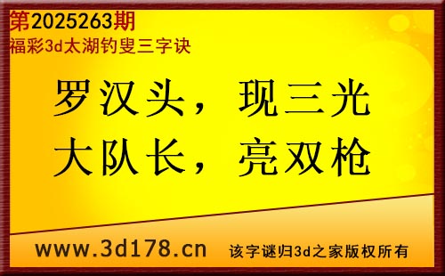 3d第2025263期太湖图库解字谜：罗汉头，现三光