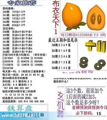 3d布衣天下第2025264期三胆推荐：026