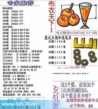 3d布衣天下第2025305期三胆推荐：246