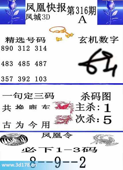 3d凤凰快报第2025316期必下1-3码：289