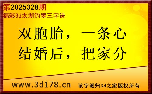 3d第2025328期太湖图库解字谜：双胞胎，一条心