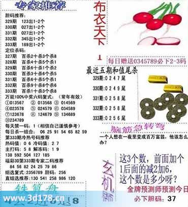 3d布衣天下第2025333期百位杀一码:1