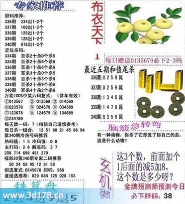 3d布衣天下第2025340期百位杀一码：4