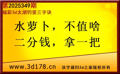 3d第2025349期太湖图库解字谜：水萝卜，不值啥