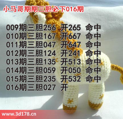 小马哥3d第2026016期预测分析推荐：三胆027