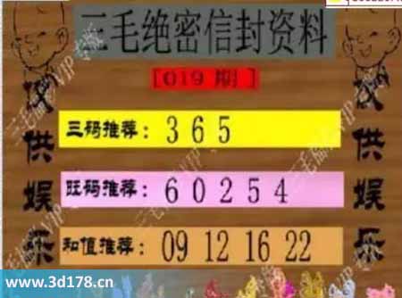 3d第2026019毛绝密信封资料图胆码推荐：356