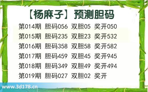 杨麻子胆码图3d第2026019期推荐：双胆看02