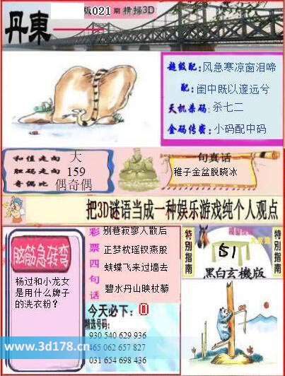3d第2026021期丹东快报图金码传密：小码配中码