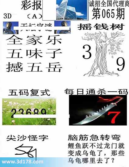 香港彩报3d第2026065期每日通杀一码：7