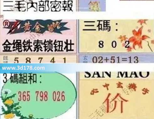 3d第2026118期三毛内部密报图三码推荐：028