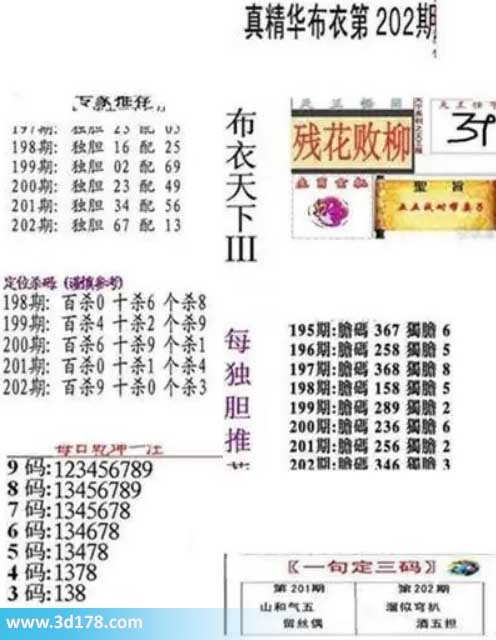 真精华布衣第2026202期推荐三码:138