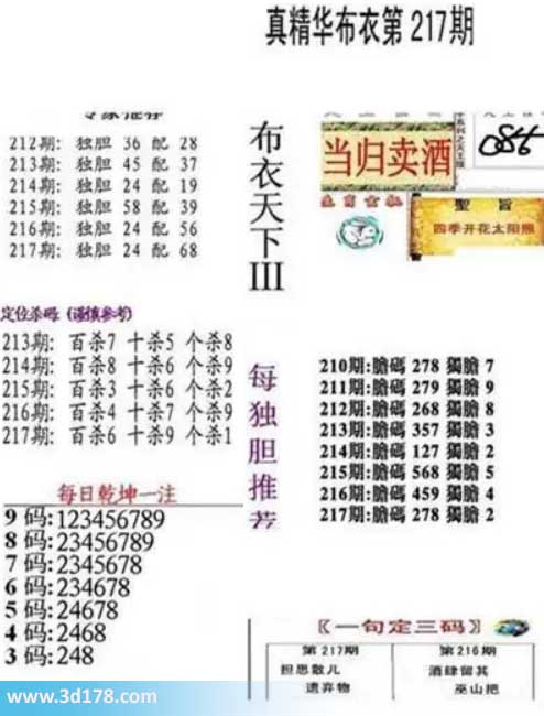 真精华布衣第2026217期推荐三码:248