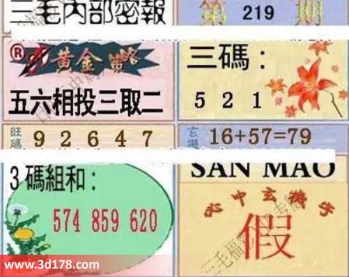 3d第2026219期三毛内部密报图黄金策略:五六相投三取二