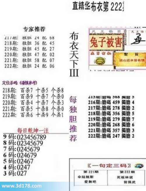 3d真精华布衣第2026222期推荐三码:027