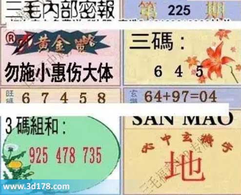 3d第2026225期三毛内部密报图黄金策略:勿施小惠伤大体
