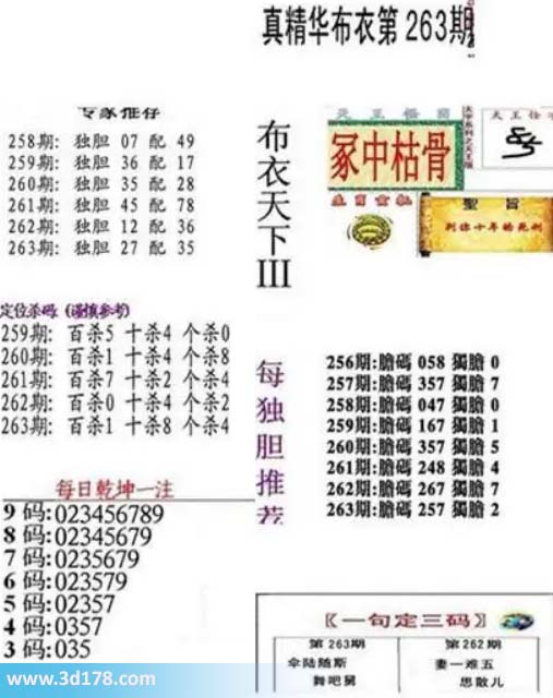 真精华布衣第2026263期推荐三码:035