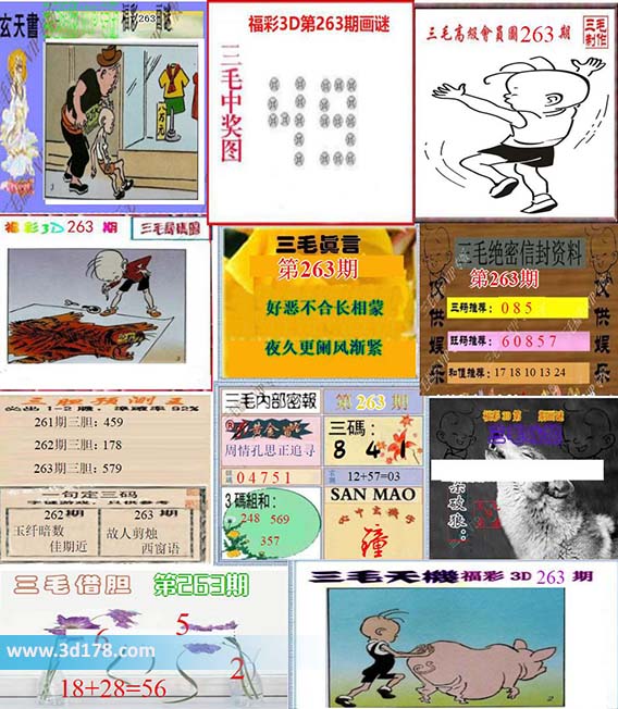 三毛图库3d第2026263期三毛综合版：三码058