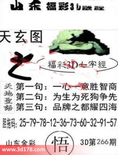 3d第2026266期丹东天玄图第一句：一心一意胜智商